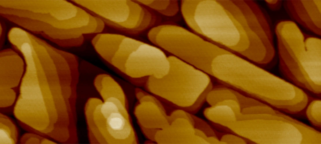 Atomic Force Microscope (AFM) image of Perylene