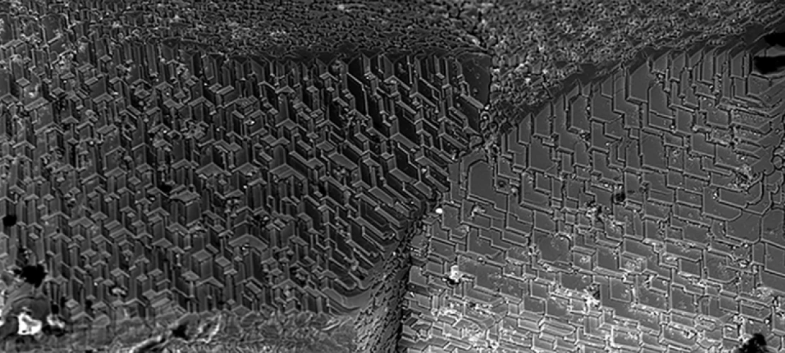 Scanning electron microscope image