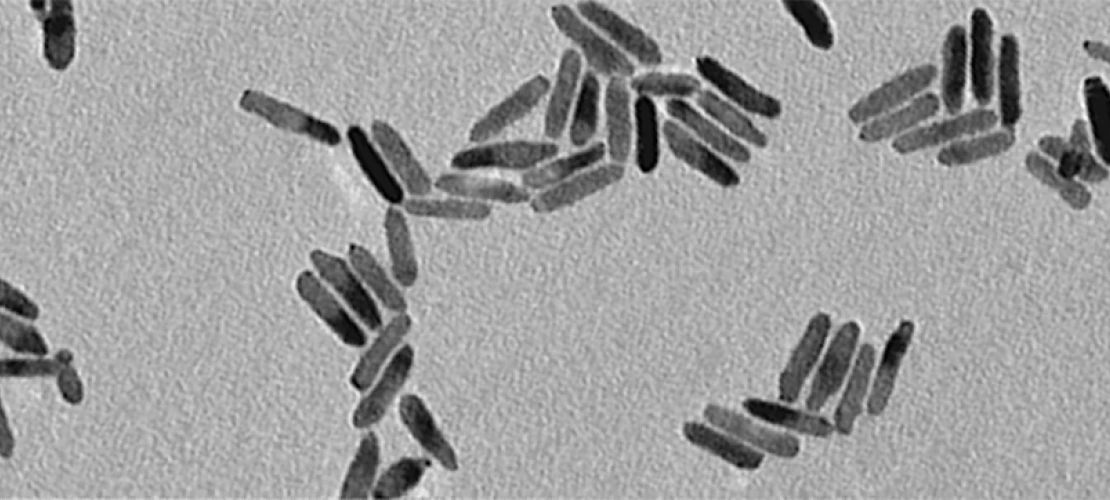 Transmission Electron Microscope image