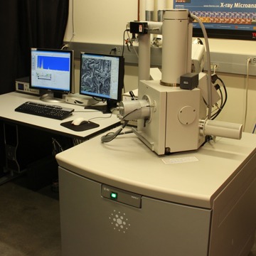 FEI Inspec-S scanning electron microscope