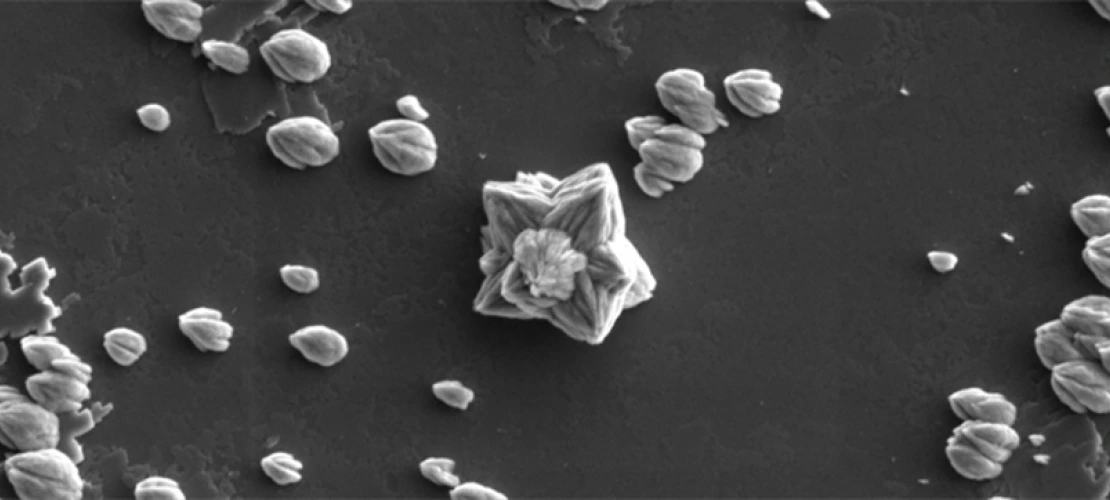 Scanning electron microscopy (SEM) image of Strontianite (SrCO3) crystals