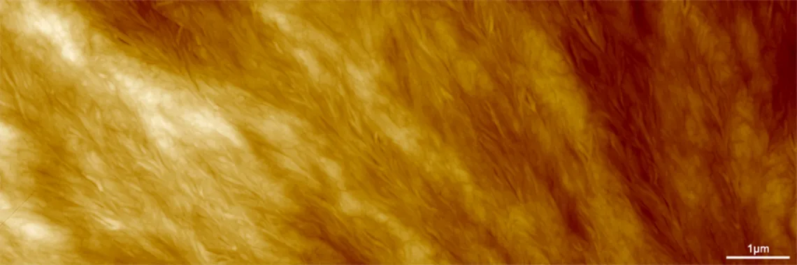 Atomic force microscope image