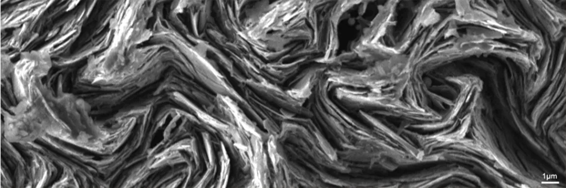 Scanning electron microscopy (SEM) image of the broken edge of mechanical pencil lead