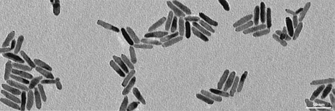 Transmission Electron Microscope image