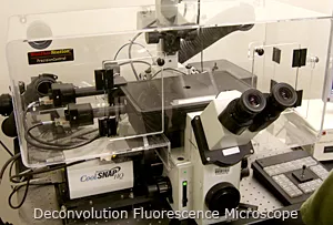 Deltavision microscope