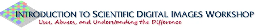 Digital Images workshop banner