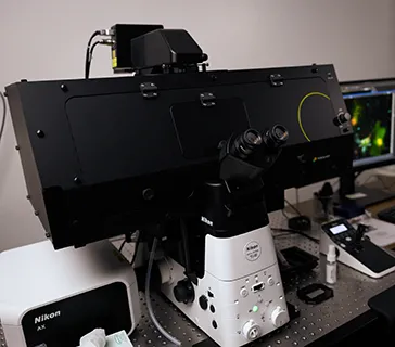 Nikon AX-R confocal microscope