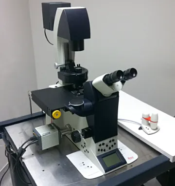 Leica DMI6000 microscope image