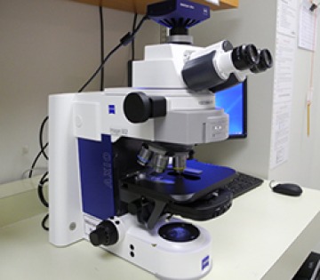 Zeiss Axioimager microscope