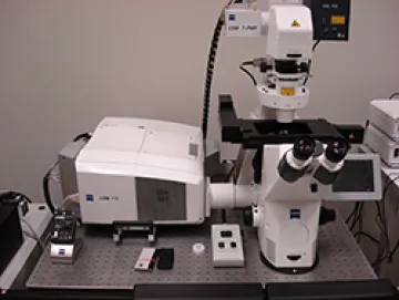 Zeiss LSM710 confocal