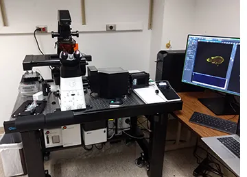 Nikon/Crest spinning disk confocal