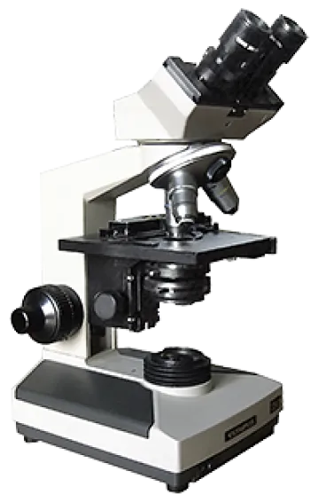 upright microscope