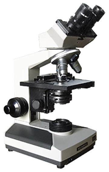 upright microscope