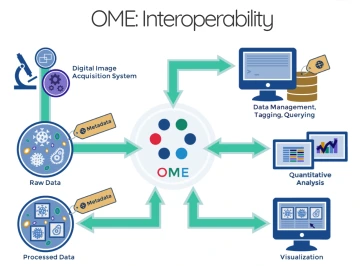 OMERO data interoperability diagram